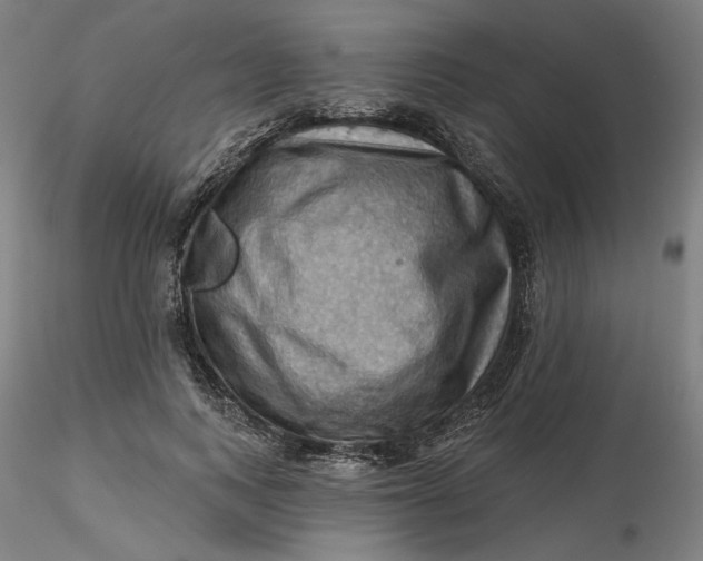 X0000116490743200912231151