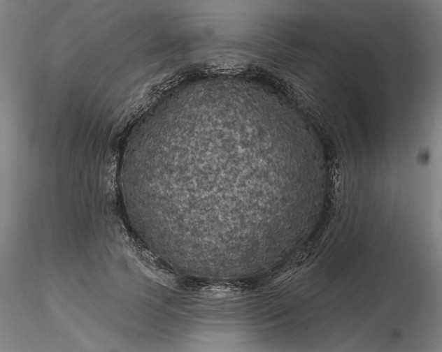 X0000116490745200912231151