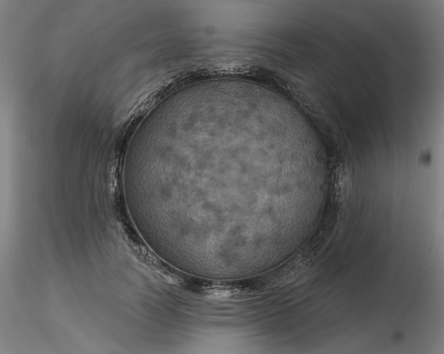 X0000116490746200912231151