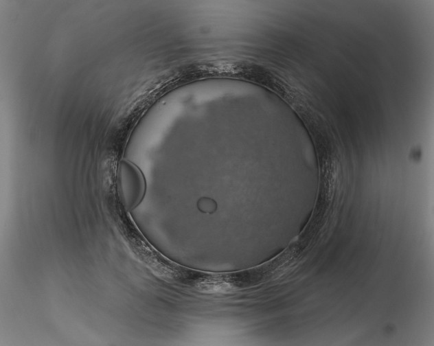 X0000116490747200912231151