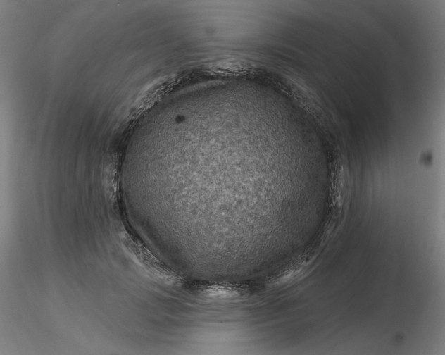 X0000116490749200912231151