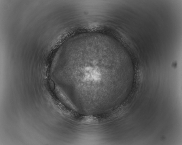 X0000116490750200912231151