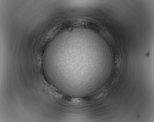 X0000116490753200912231151