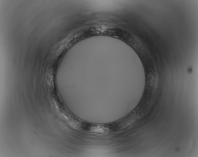 X0000116490754200912231151