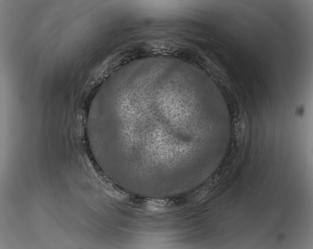 X0000116490757200912231151