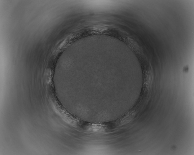 X0000116490758200912231151