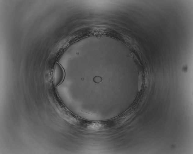 X0000116490759200912231151