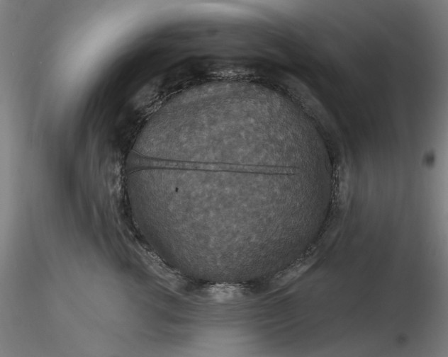 X0000116490762200912231151