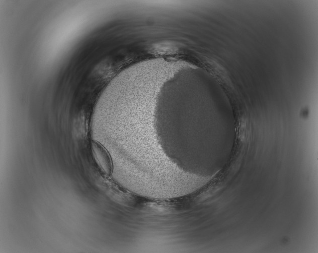 X0000116490763200912231151