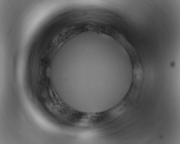 X0000116490765200912231151