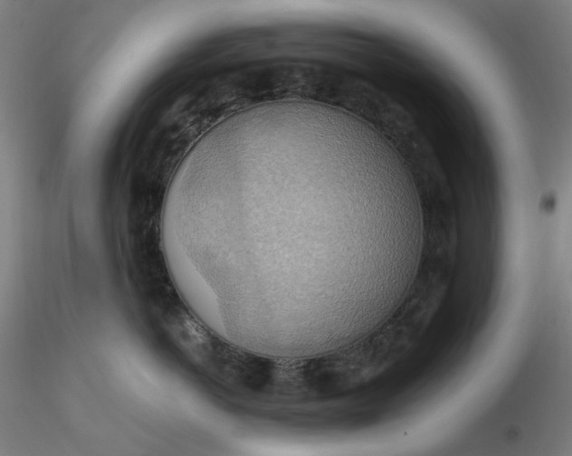 X0000116490766200912231151