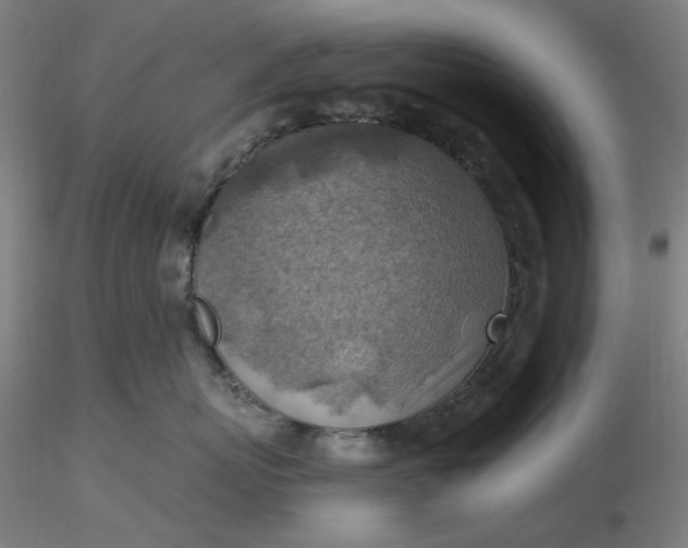 X0000116490767200912231151