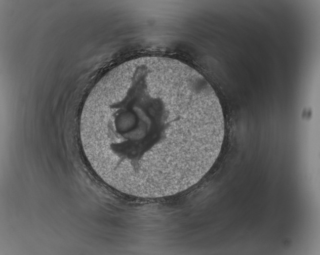 X0000116490769200912231151