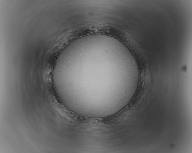 X0000116490770200912231151