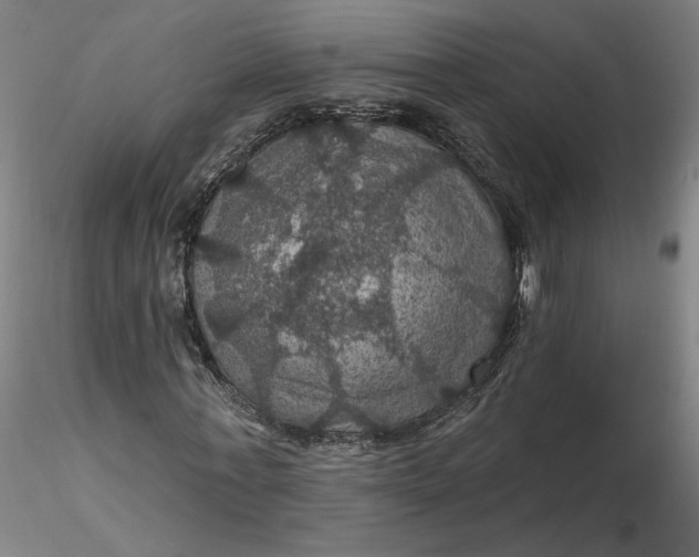 X0000116490771200912231151