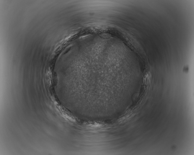 X0000116490772200912231151