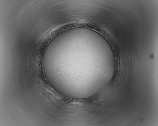 X0000116490773200912231151