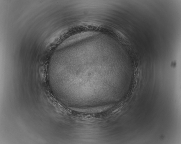 X0000116490774200912231151