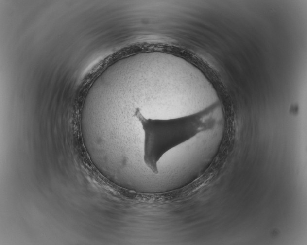 X0000116490775200912231151