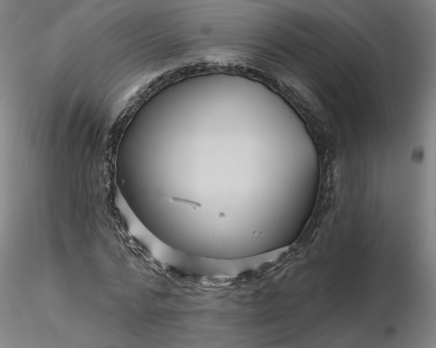 X0000116490776200912231150