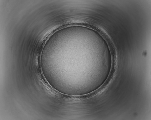 X0000116490777200912231150