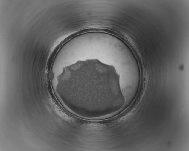 X0000116490779200912231150