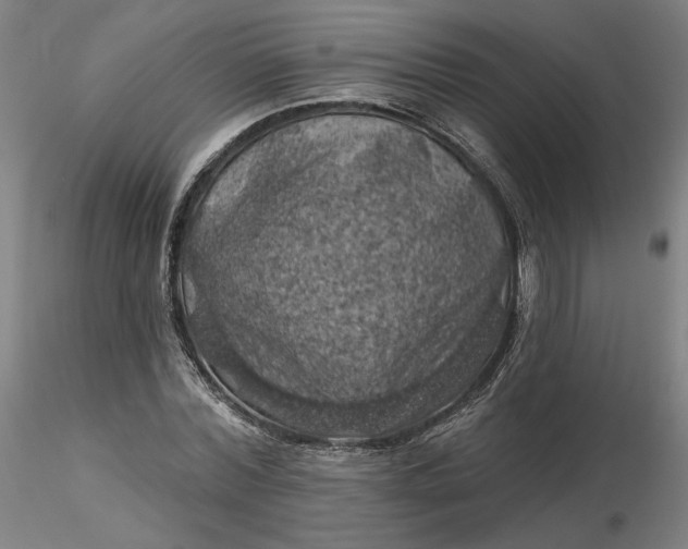 X0000116490780200912231150