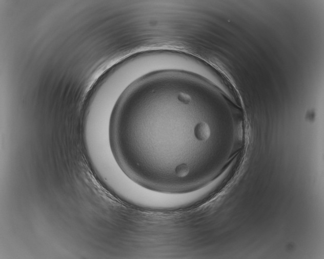 X0000116490781200912231150