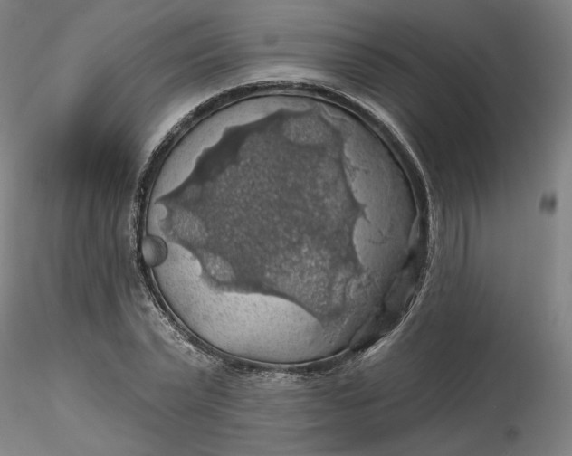 X0000116490783200912231150