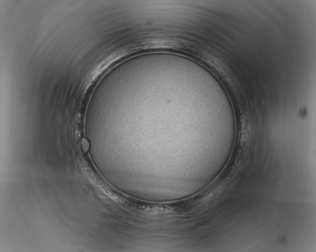 X0000116490786200912231150