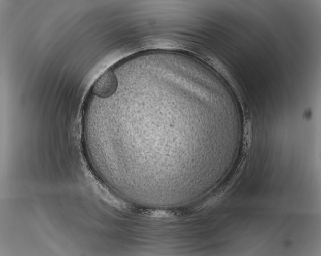 X0000116490787200912231150