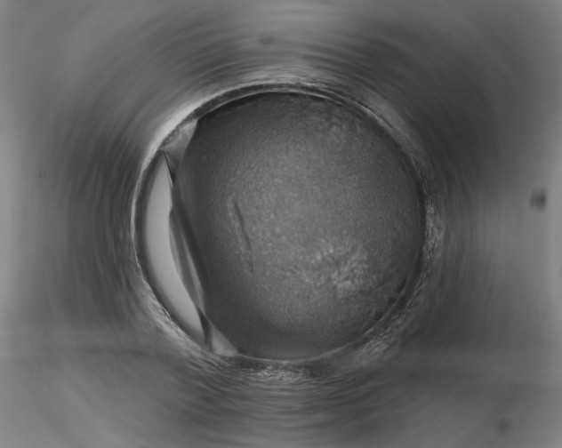 X0000116490788200912231150