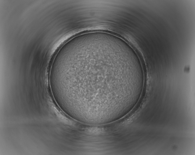 X0000116490789200912231150