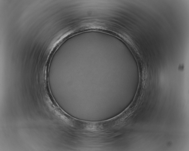 X0000116490790200912231150