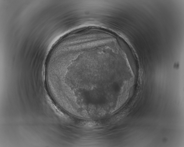 X0000116490791200912231150