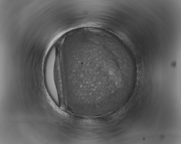 X0000116490792200912231150