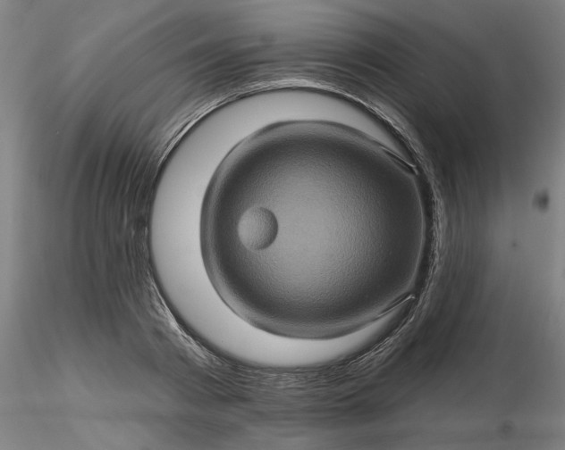 X0000116490793200912231150