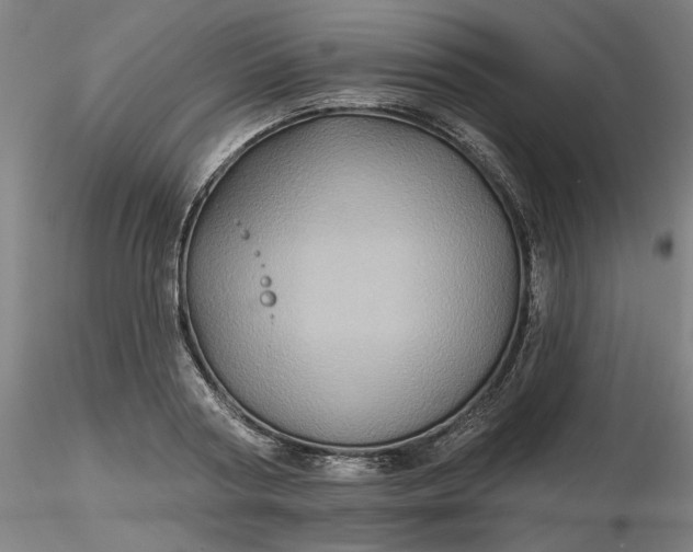 X0000116490794200912231150