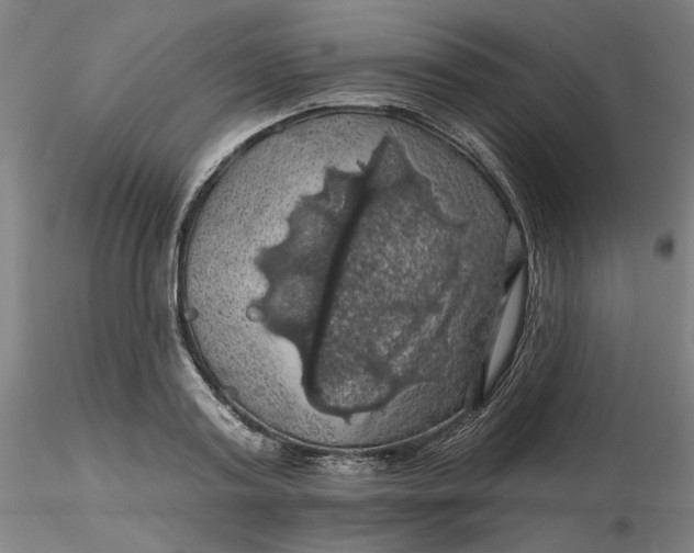 X0000116490795200912231150