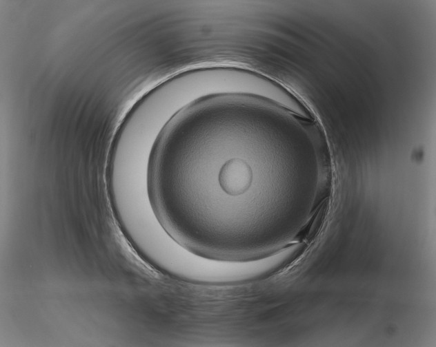 X0000116490797200912231150