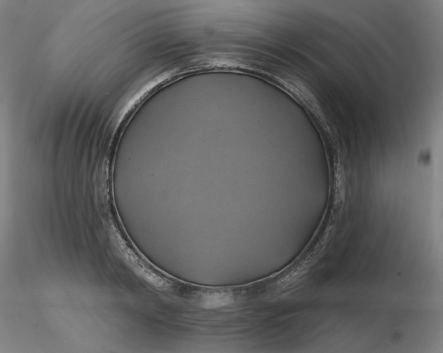 X0000116490798200912231150