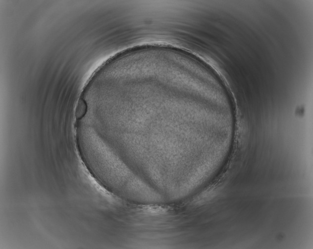 X0000116490799200912231150