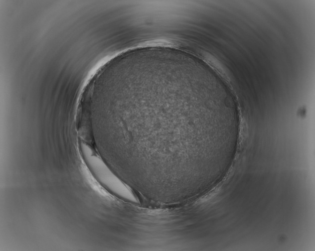 X0000116490800200912231150