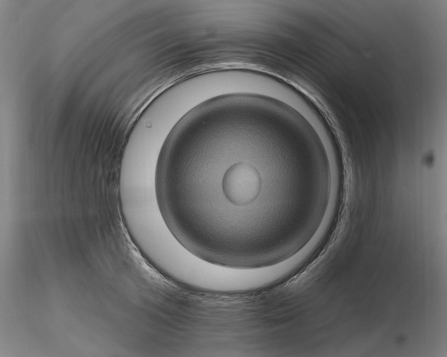 X0000116490801200912231150