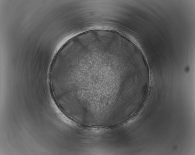 X0000116490803200912231150