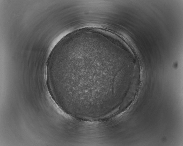 X0000116490804200912231150