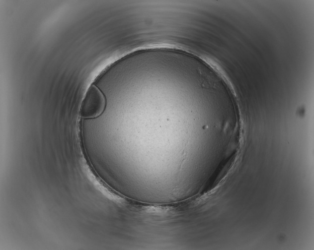 X0000116490805200912231150