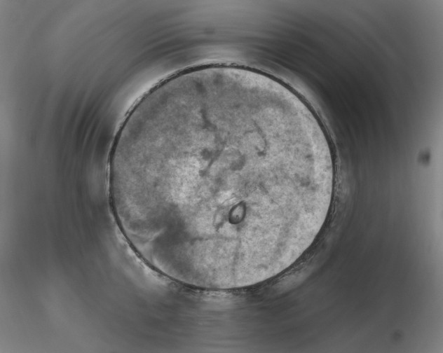 X0000116490807200912231150