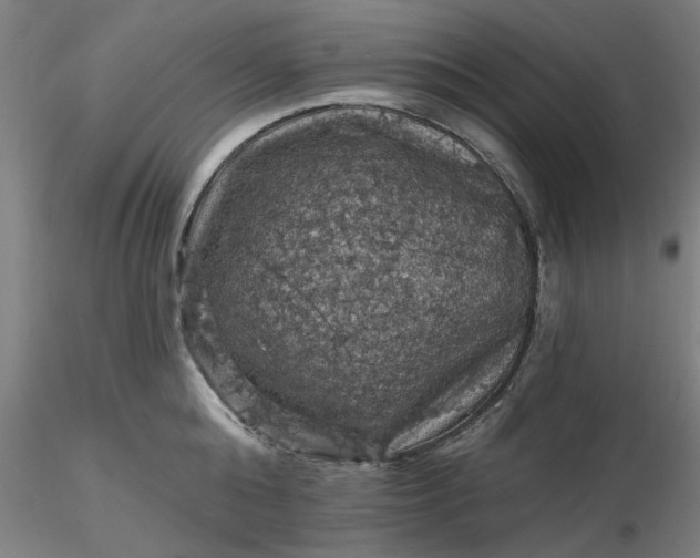 X0000116490808200912231150