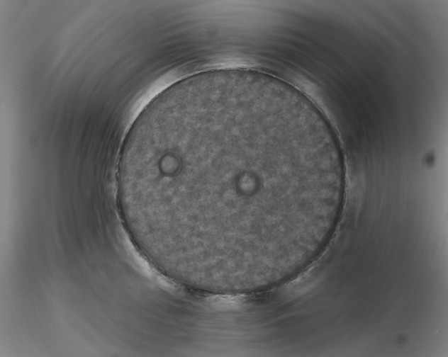 X0000116490810200912231150